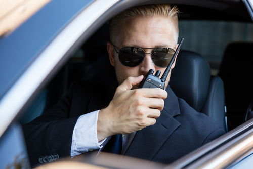 private investigator