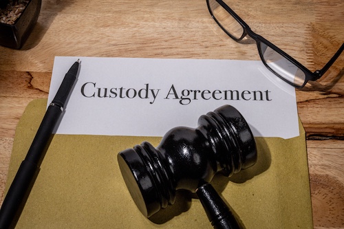 Child Custody Case