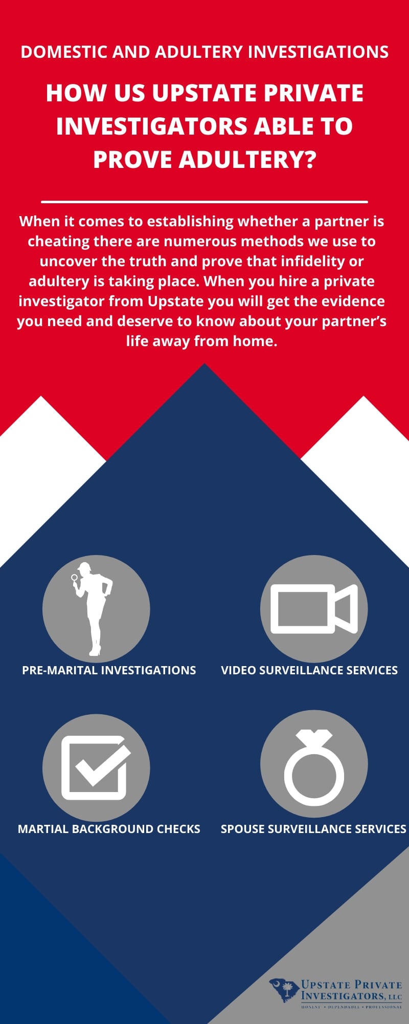 Greenville Domestic And Adultery Investigation Infographic