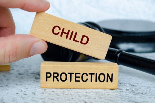Anderson SC private Investigators, child custody investigations.